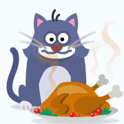 Turkey hungry cat