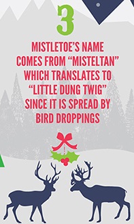 Infographie 10 Xmas facts part 3