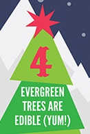 Infographie 10 Xmas facts part 4
