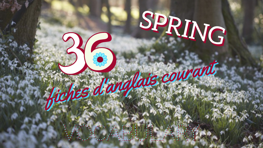 🌷 Le printemps arrive ! 🌈 Et avec lui viennent également 36 nouvelles fiches de vocabulaire anglais courant