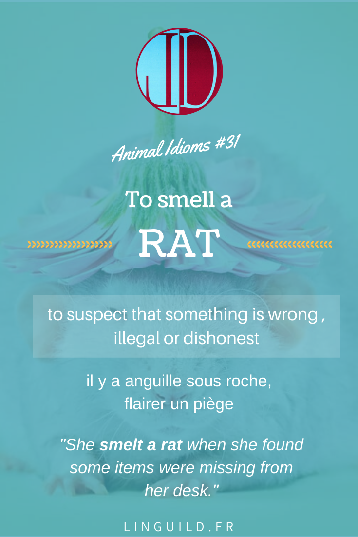 Fiche to smell a rat