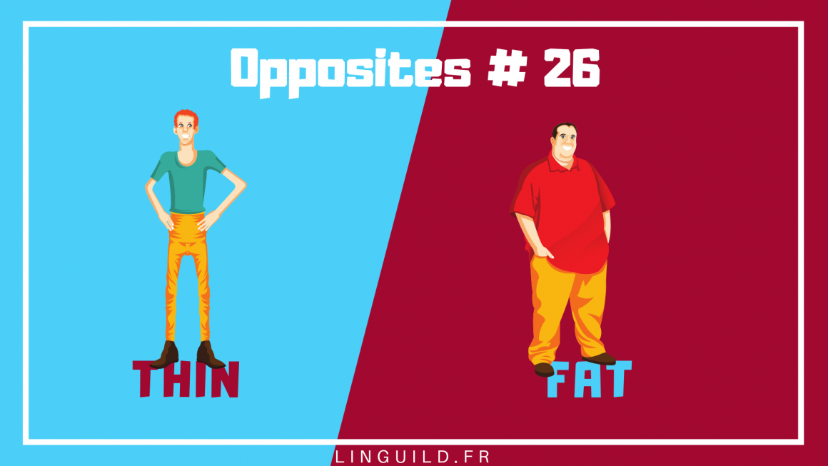 Apprendre les contraires en anglais avec ces 30 fiches de vocabulaire