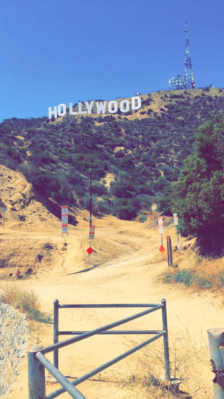 Hollywood Sign picture