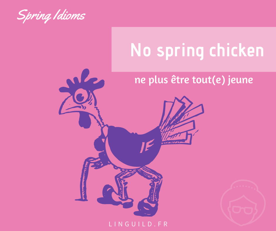 expression anglaise courante : no spring chicken