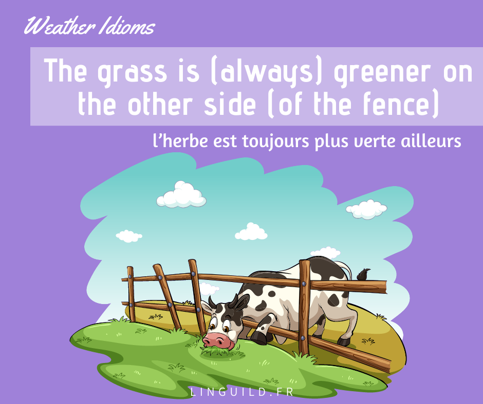expression anglaise courante : the grass is greener on the other side