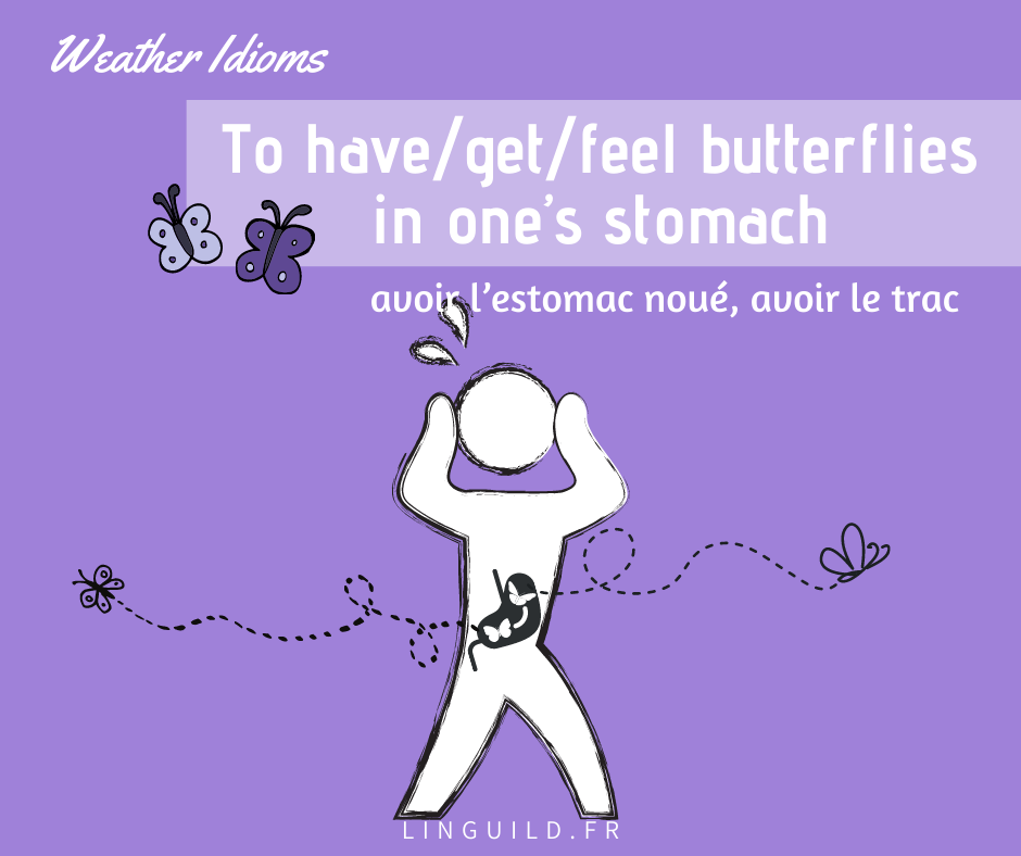 expression anglaise courante : to have/get/feel butterflies in one's stomach
