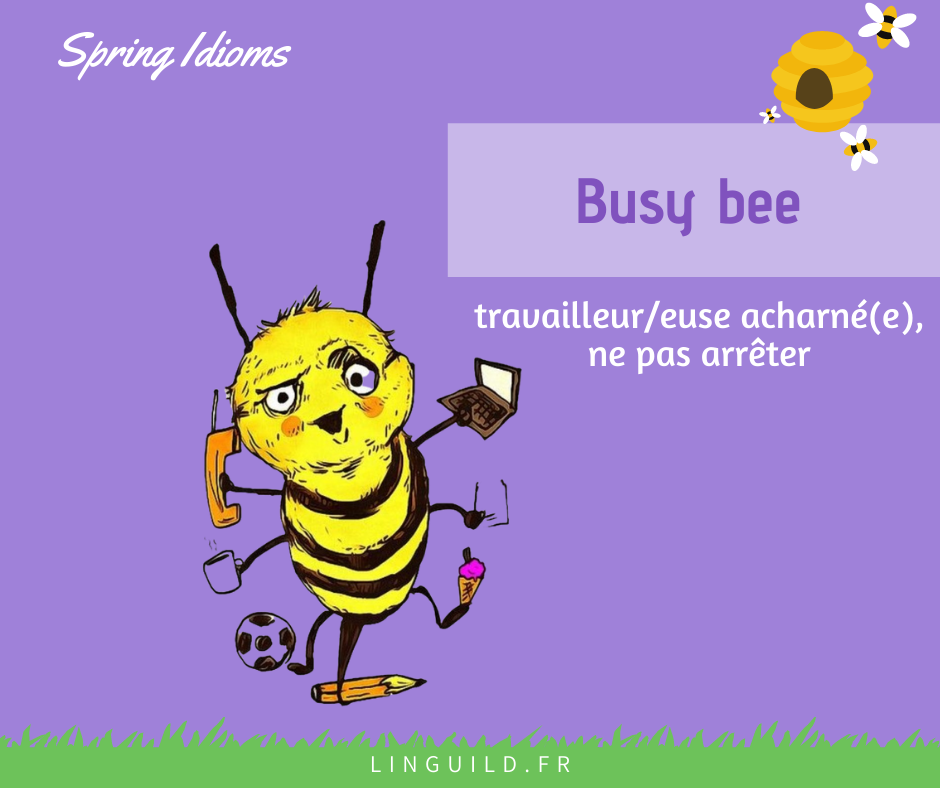 expression anglaise courante : busy bee