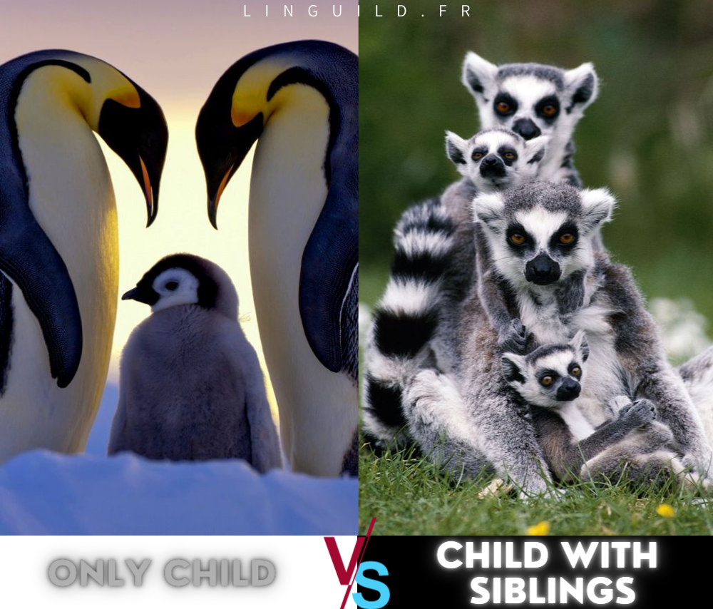 only child vs child with siblings