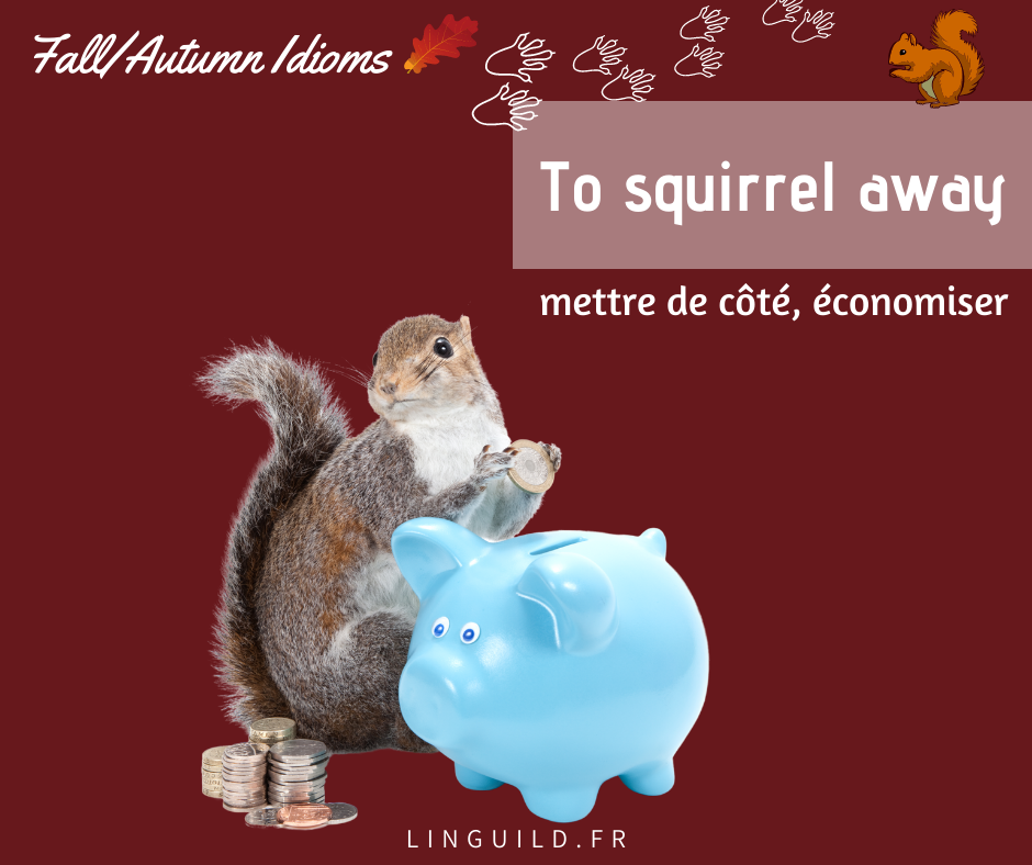 Expressions anglaises courantes squirrel away