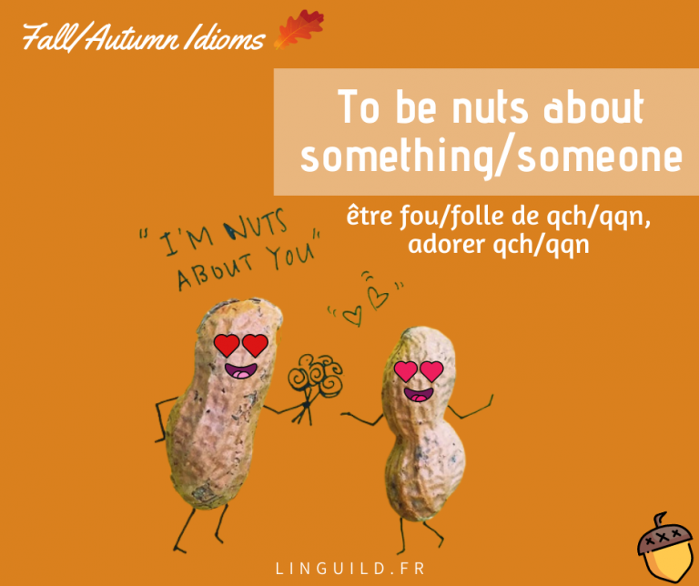 🍎 Le top 7 des expressions anglaises courantes en lien avec l’automne 🍂