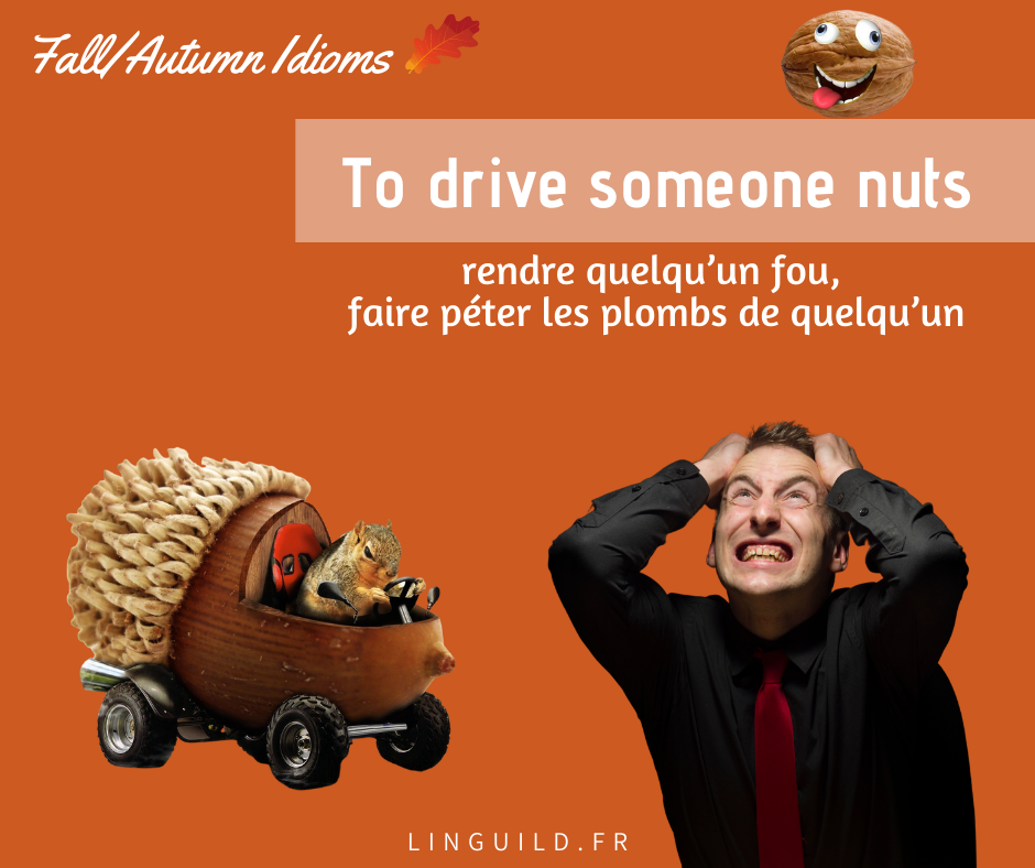 Expressions anglaises courantes to drive someone nuts