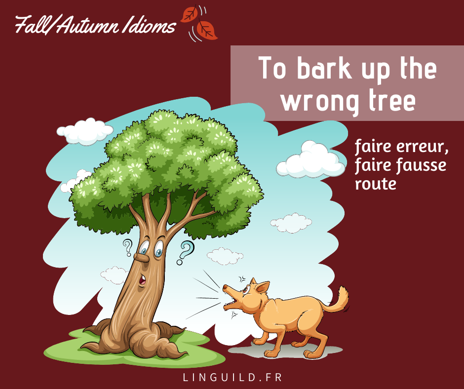 Expressions anglaises courantes To bark up the wrong tree