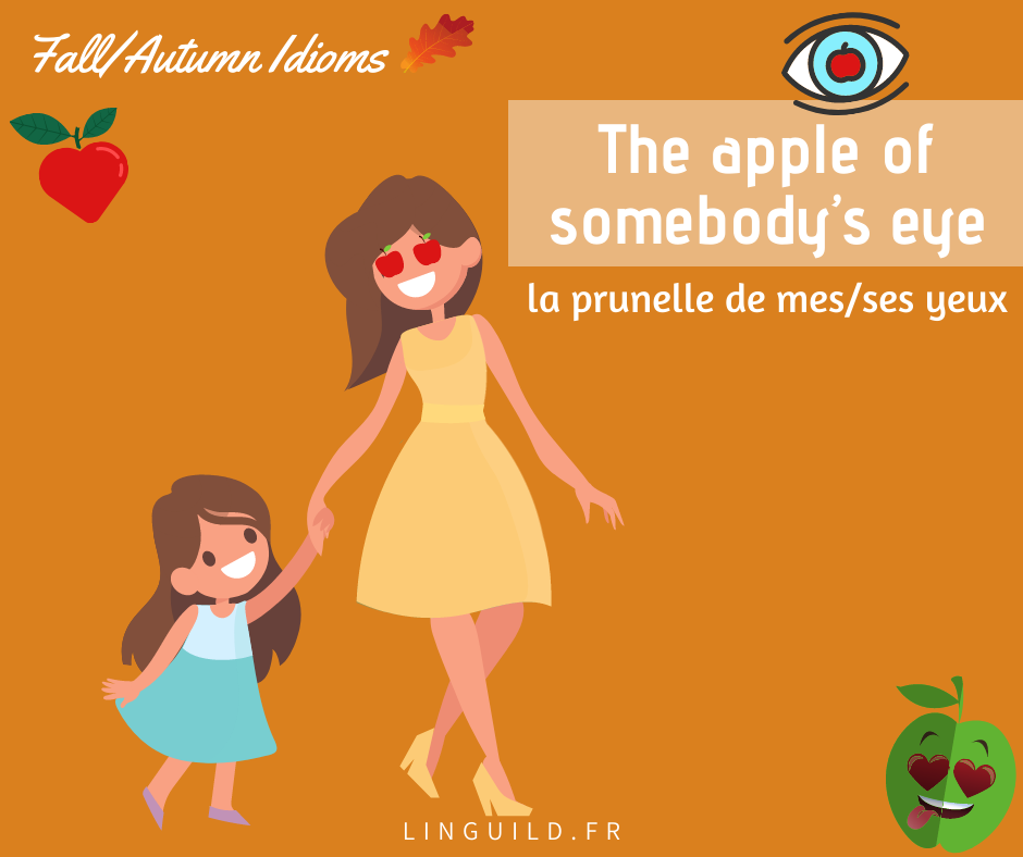 Expressions anglaises courantes The apple of somebody’s eye