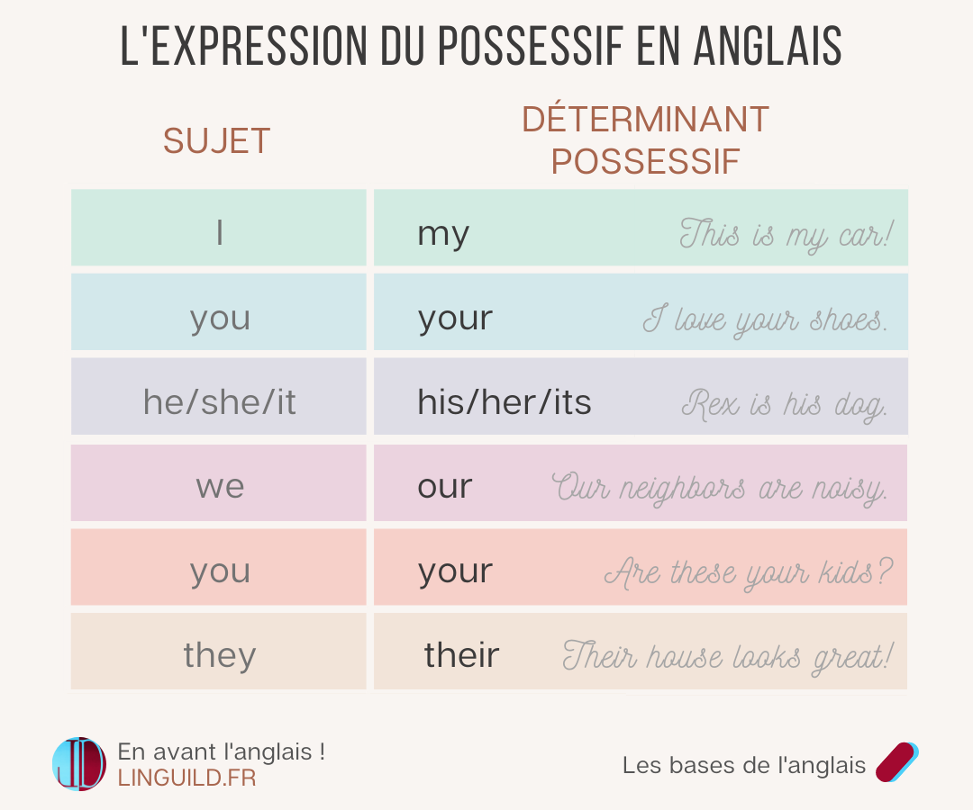 Determinant Possessif Les déterminants possessifs en anglais (+ exercices) - LinguiLD